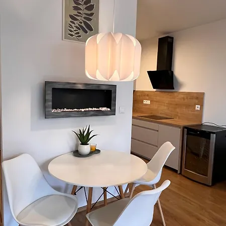 Apartment Luxury Close To Centre, Vusch Private Parking Included *