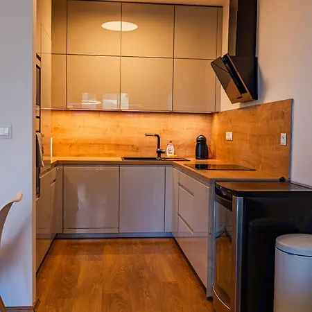 Luxury Close To Centre, Vusch Private Parking Included * Kassa