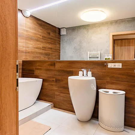 Luxury Close To Centre, Vusch Private Parking Included Apartman Kassa