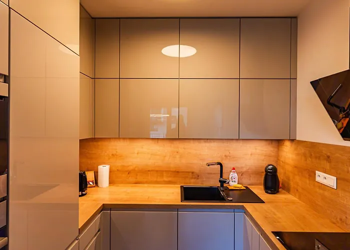 Luxury Close To Centre, Vusch Private Parking Included